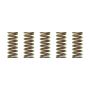 Wiseco CSK007 Clutch Spring Kit XR400/TRX250/ATC250R