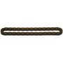 Cloyes 9-4191 Engine Balance Shaft Chain