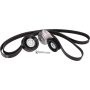 Cloyes B40004 Serpentine Belt