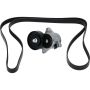 Cloyes B40033 Serpentine Belt