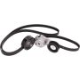 Cloyes B40048 Serpentine Belt