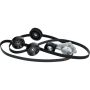 Cloyes B40056 Serpentine Belt