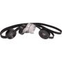 Cloyes B40209 Serpentine Belt