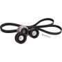 Cloyes B40281 Serpentine Belt