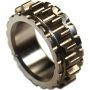 Cloyes S1137 Engine Timing Crankshaft Sprocket