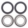 All Balls Racing 25-1432 00-07 Can-Am DS650 Wheel Bearing Kit Rear
