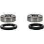 Pivot Works 25-1254-P Kawasaki Wheel Bearing Kit Premium Bearings