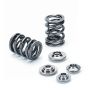 Supertech SPRK-A2416-BE2 Audi 2.5T FSI/TFSI/EA113/EA888 Single Valve Spring Kit