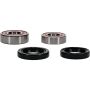Pivot Works 25-1652-P Honda Wheel Bearing Kit Premium Bearings