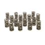 PAC RACING SPRINGS PACPAC-1222X-16 Dual Valve Springs - (16) GM LS