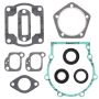 Vertex Pistons 711013 Vertex Gaskets  Jlo-cuyuna L292 FC-1 Complete Gasket Kit w/ Oil Seals