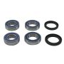 All Balls Racing 25-1818 18-20 Aprilia Dorsoduro 900 Wheel Bearing Kit Rear