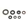 Athena P400485400039 Engine Oil Seal Kits