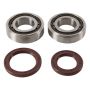 Hot Rods K092 15-17 KTM 250 SX-F Factory 250cc Main Bearing & Seal Kit