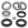 All Balls Racing 25-2029 98-01 Yamaha YFM600 Grizzly Differential Bearing & Seal Kit Front