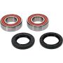 Pivot Works 25-1648-P BMW Wheel Bearing Kit Premium Bearings