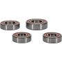 Pivot Works 25-1100-P Suzuki Wheel Bearing Kit Premium Bearings