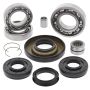 All Balls Racing 25-2006 02-03 Honda TRX400FW Fourtrax Foreman 4x4 Differential Bearing & Seal Kit Front