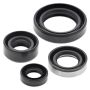 Vertex Pistons 822309 Vertex Gaskets 90-99 Suzuki DR350SE Oil Seal Kit