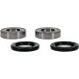 Pivot Works 25-1079-P Gas-Gas, Kawasaki, Suzuki Wheel Bearing Kit Premium Bearings