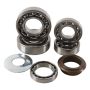 Hot Rods TBK0111 15-17 KTM 250 SX-F Factory 250cc Transmission Bearing Kit