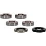 Pivot Works 25-1673-P BMW Wheel Bearing Kit Premium Bearings