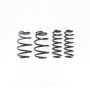 RS-R T525D 2021+ Luxus NX350h F Sport AWD Down Sus Springs