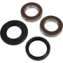 Pivot Works 25-1415-P Husqvarna Wheel Bearing Kit Premium Bearings