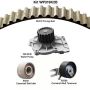 Dayco WP319K2B Water Pump Kit