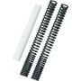 Burly Brand B28-1100 21-22 Rebel 1100 Fork Spring Kit - Standard Height