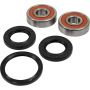 Pivot Works 25-1448-P Wheel Bearing Kit