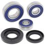 All Balls Racing 25-1731 20-21 KTM Adventure 390 Wheel Bearing Kit Rear