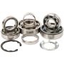 Hot Rods TBK0020 07-08 KX 450 F Transmission Bearing Kit