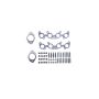 Ford Racing M-9448-M50 2011-2023 5.0L Coyote Exhaust Manifold Gasket And Hardware Kit