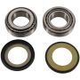 Pivot Works PWSSK-S13-000 98-01 TM EN 125 PW Steering Stem Bearing Kit