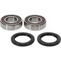 Pivot Works 25-1799-P Yamaha Wheel Bearing Kit Premium Bearings