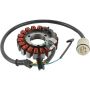 Arrowhead 340-58029 Honda Stator Coil