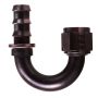 AEROQUIP AERFCL1562 #6 180 Degree Socketless Black