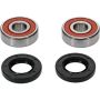 Pivot Works 25-1317-P Pw Premium Wheel Bearing