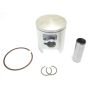 Athena S4C04750003B Cast Pistons