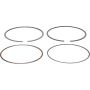 Vertex Pistons 590393000002 Vertex Piston 17-19 Polaris ACE 500 500cc