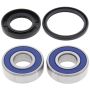 All Balls Racing 25-1380 03-09 Suzuki AN650 Burgman Wheel Bearing Kit - Rear