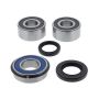All Balls Racing 25-1756 14-16 Triumph Thunderbird Commander Wheel Bearing Kit Rear