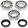 All Balls Racing 24-1084 1995 Polaris Trail Boss 250 4x4 Crank Shaft Bearing Kit