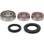 Pivot Works 25-1749-P Suzuki Wheel Bearing Kit Premium Bearings