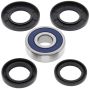 All Balls Racing 25-1643 CF-Moto CF 150T CHARM Wheel Bearing Kit Rear