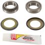 Pivot Works PWSSK-H05-420 10-13 Honda CRF250R PW Steering Stem Bearing Kit