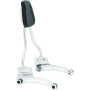 Kuryakyn 6586 Sissy Bar For Indian Models Chrome