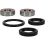 Pivot Works 25-1077-P Wheel Bearing Kit