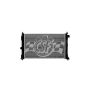 CSF 3859 Radiator